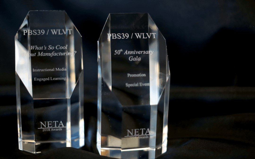 NETA Media Award